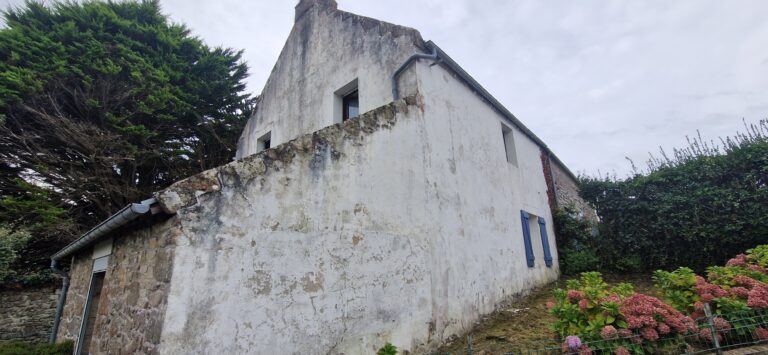NETTOYAGE MUR EXTERIEURS SAINT-PHILIBERT