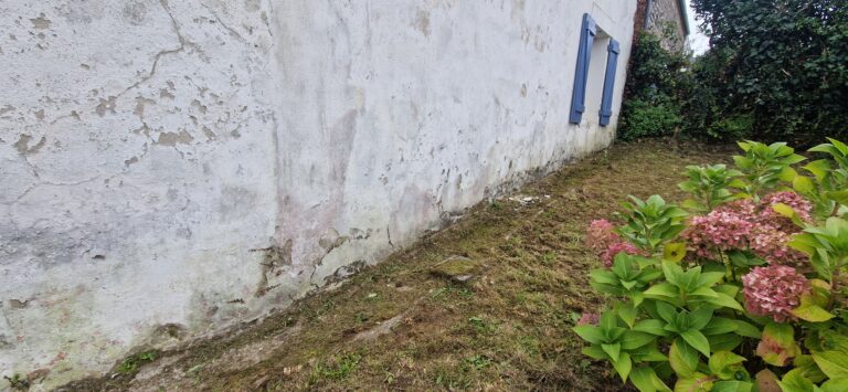 NETTOYAGE MUR EXTERIEURS SAINT-PHILIBERT