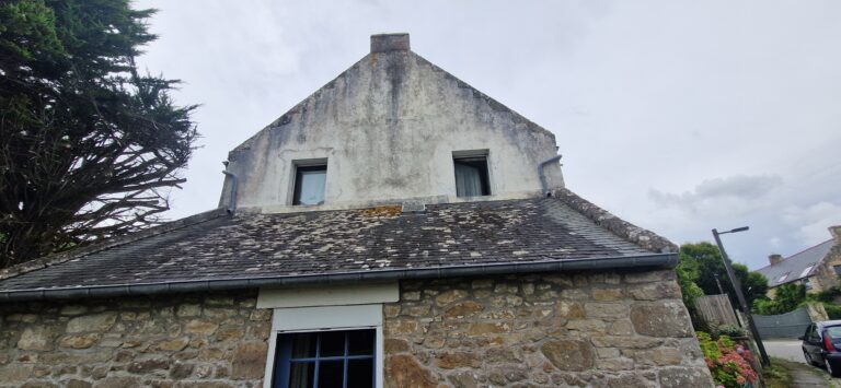 NETTOYAGE MUR EXTERIEURS SAINT-PHILIBERT