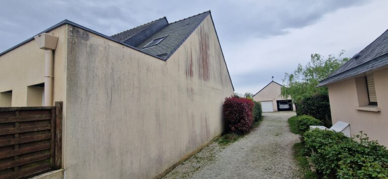 RENOVATION PIGNON SARZEAU