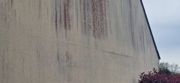 RENOVATION PIGNON SARZEAU