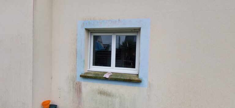 RENOVATION PIGNON OUEST DAMGAN