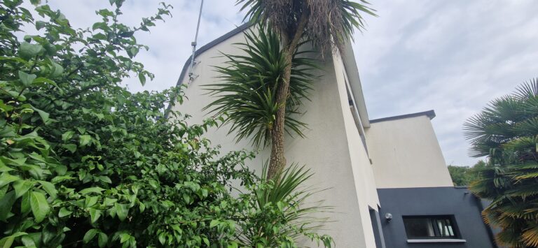 RENOVATION FACADES SAINT AVE