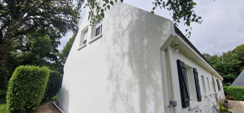 TRAITEMENT DES SURFACES MURALES