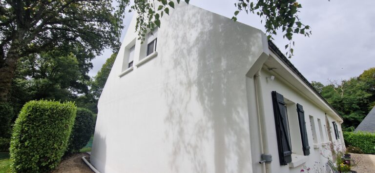 TRAITEMENT DES SURFACES MURALES