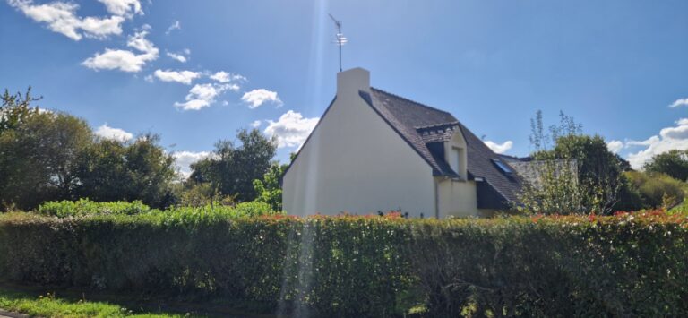 REPARATION DES DEGRADATIONS MURALES SARZEAU