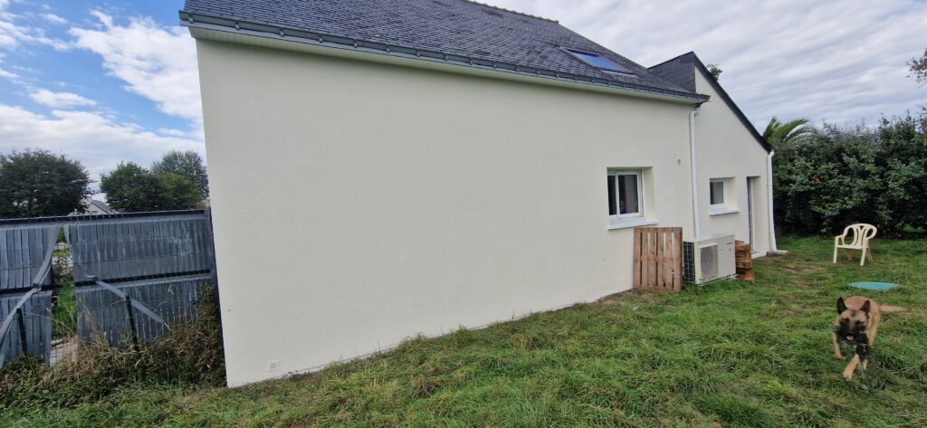 REPARATION DES DEGRADATIONS MURALES SARZEAU