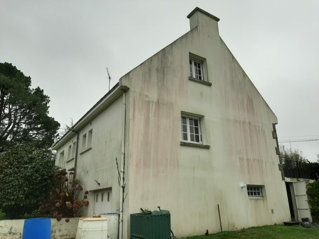 salissures facades pignon ouest